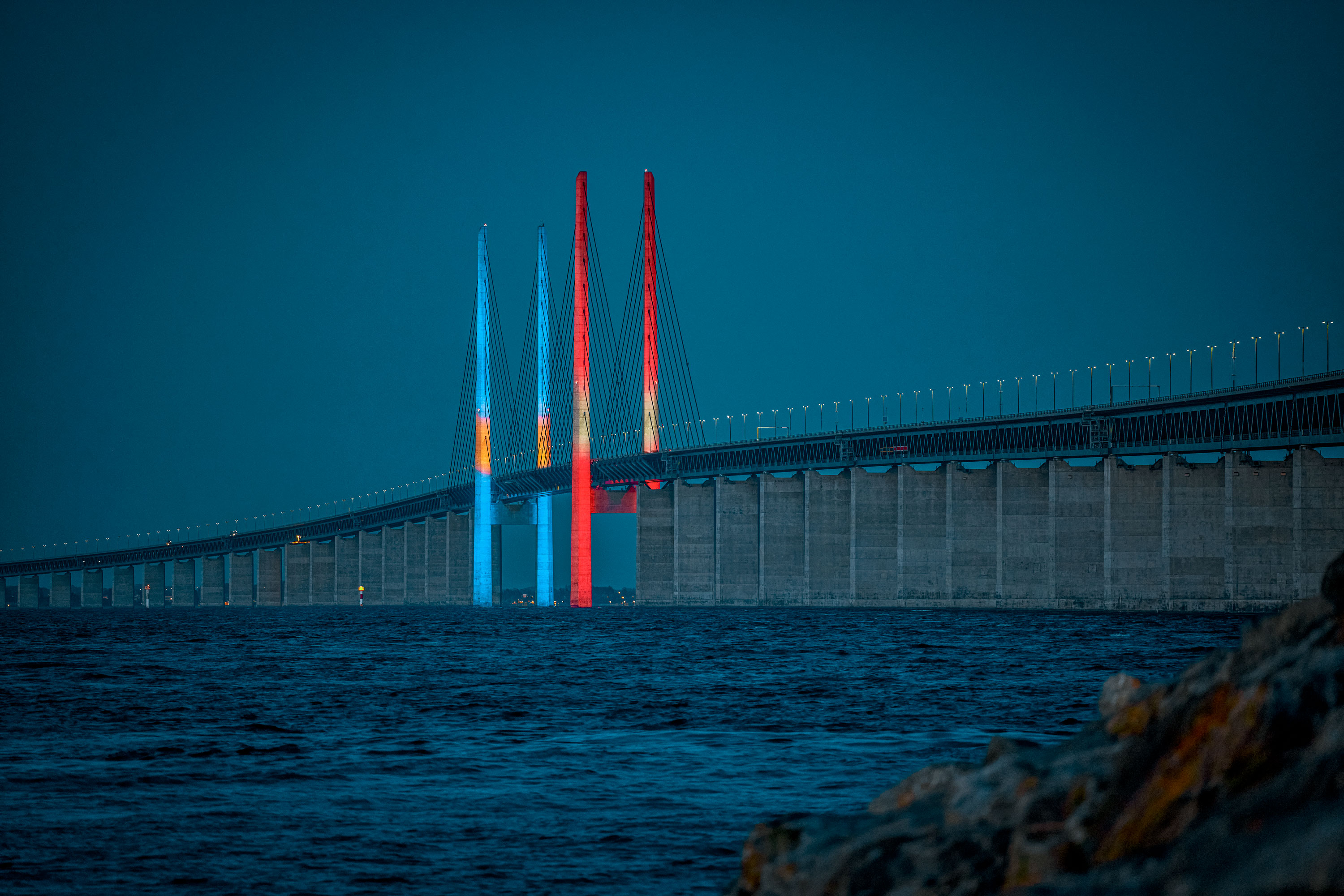 The Bridge Run 2025
